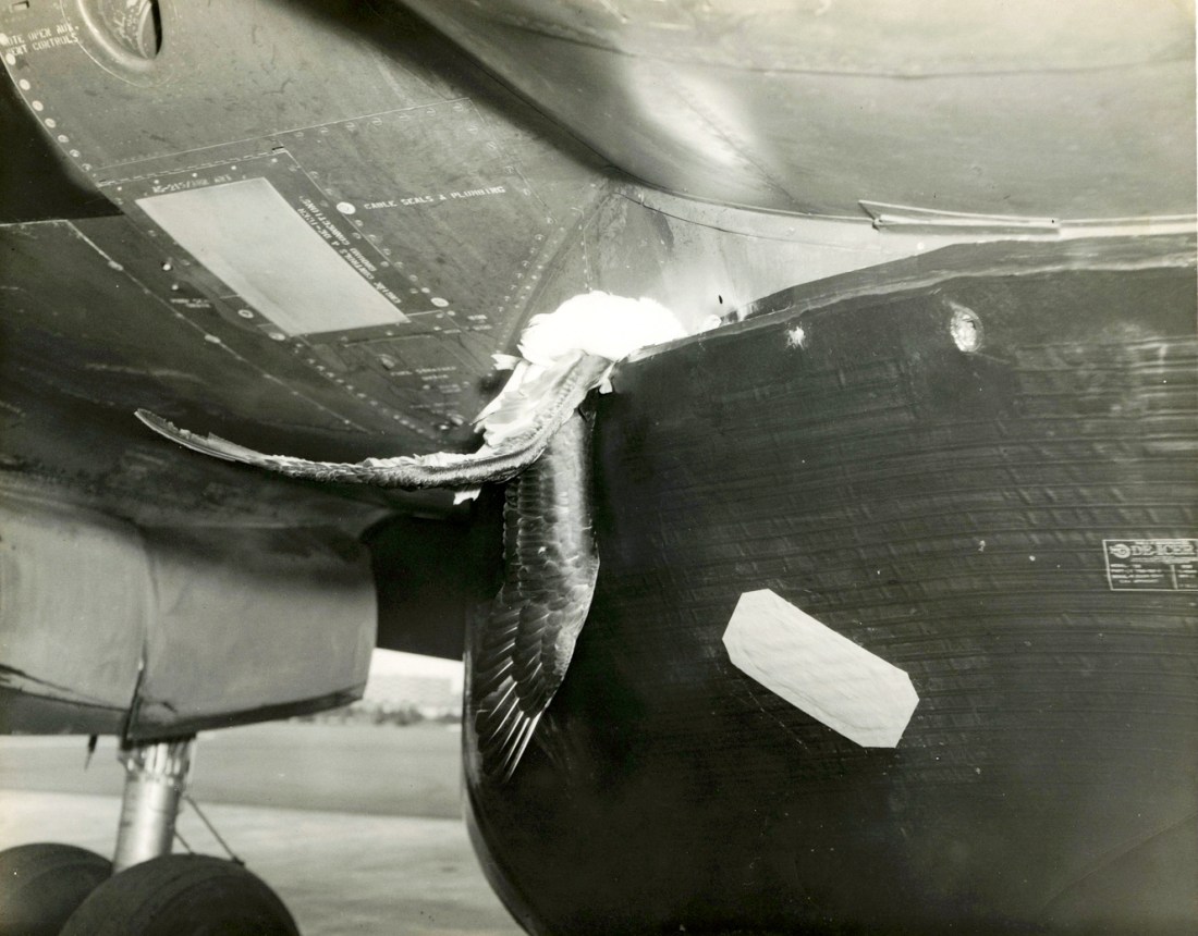 Webp.net-resizeimage (13)