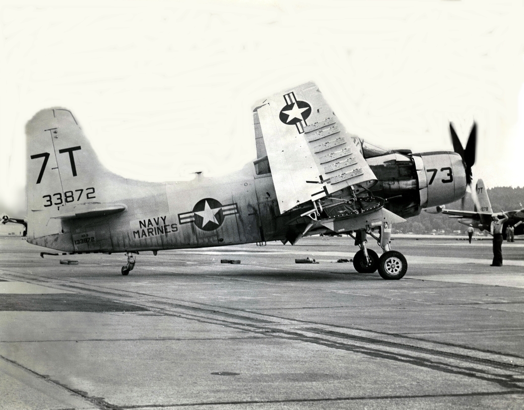 Webp.net-resizeimage (26)