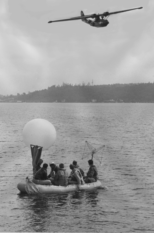 Webp.net-resizeimage (31)