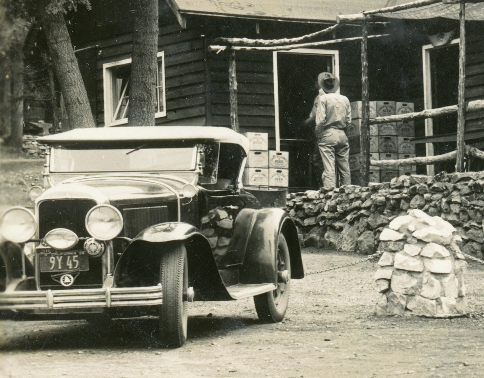 Webp.net-resizeimage