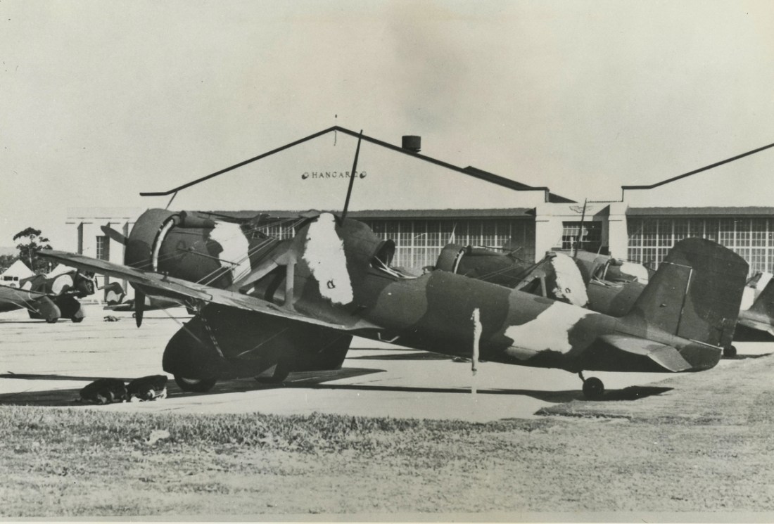 Webp.net-resizeimage (14)