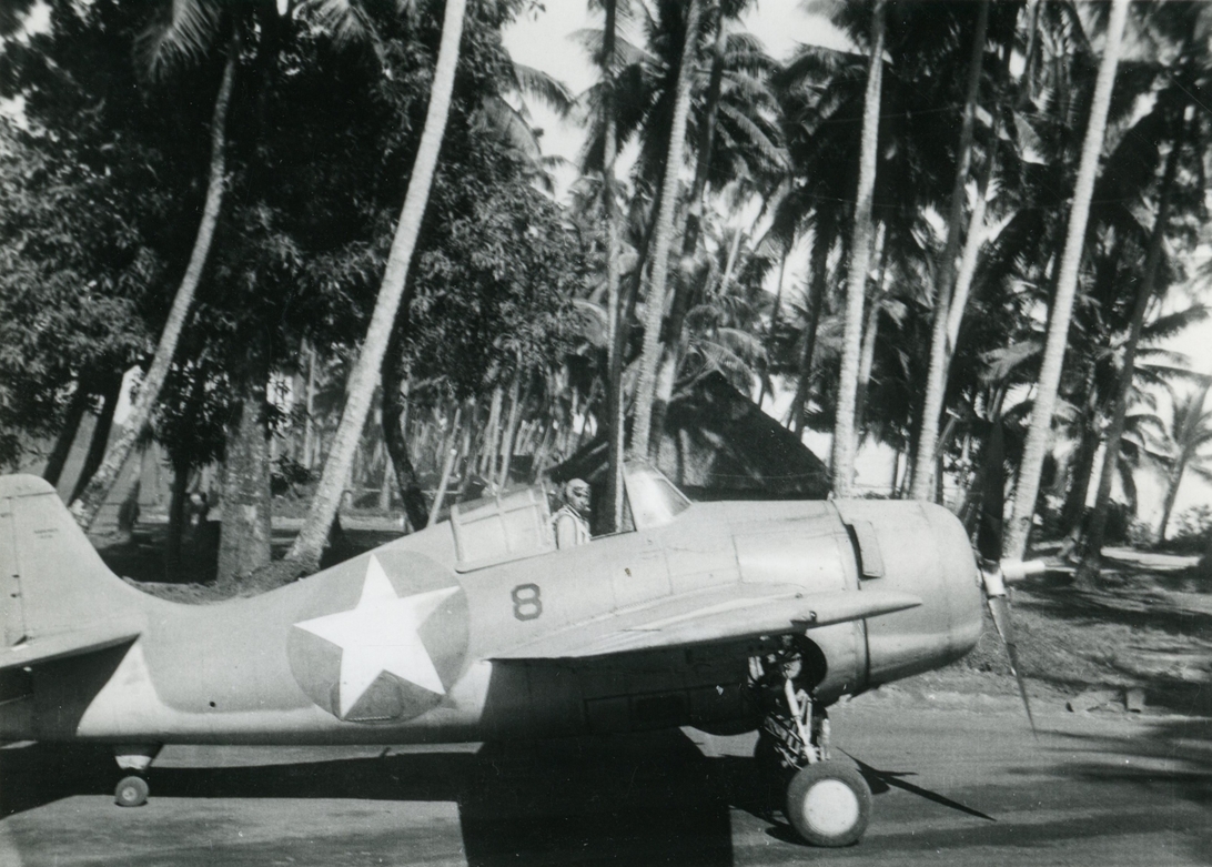 Webp.net-resizeimage (10)