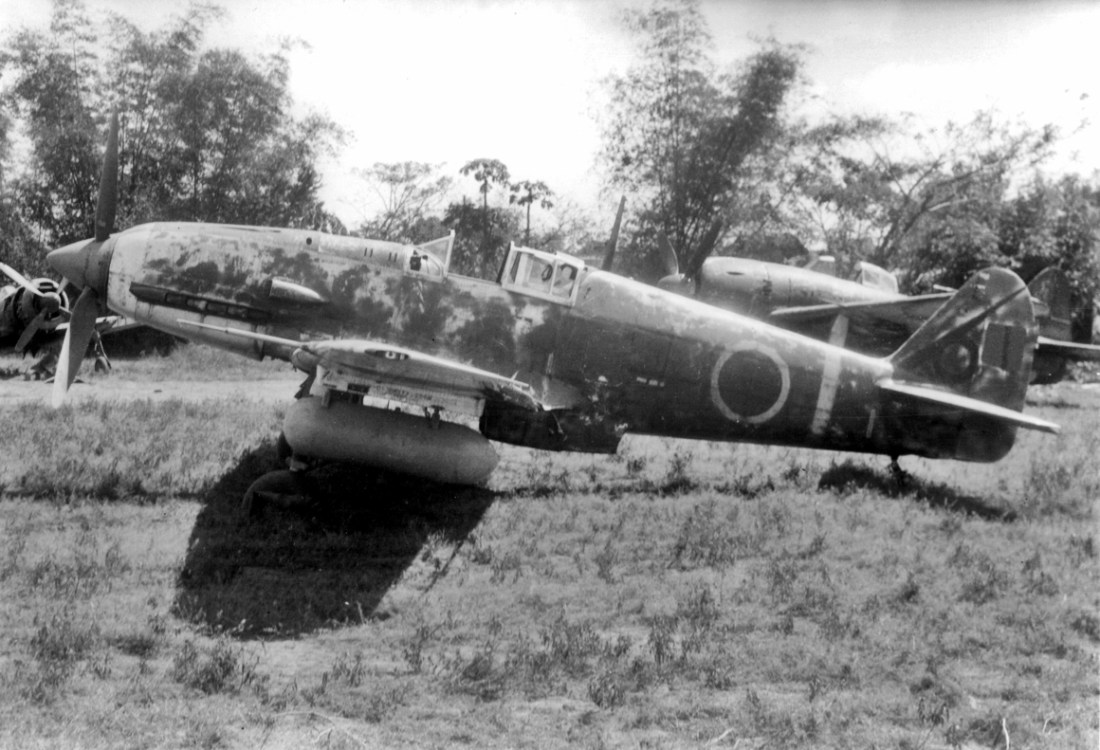 Webp.net-resizeimage (2)