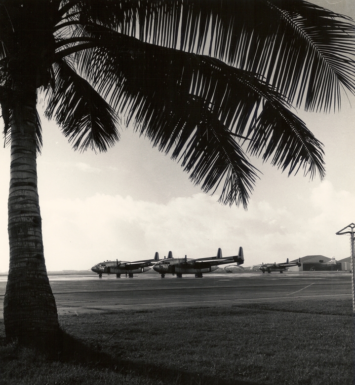 Webp.net-resizeimage (3)