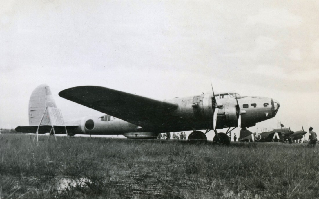 webp.net-resizeimage (1)