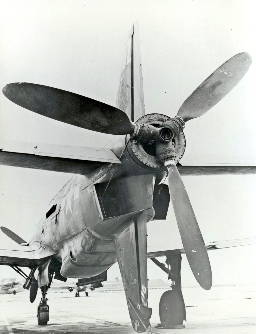 webp.net-resizeimage (3)