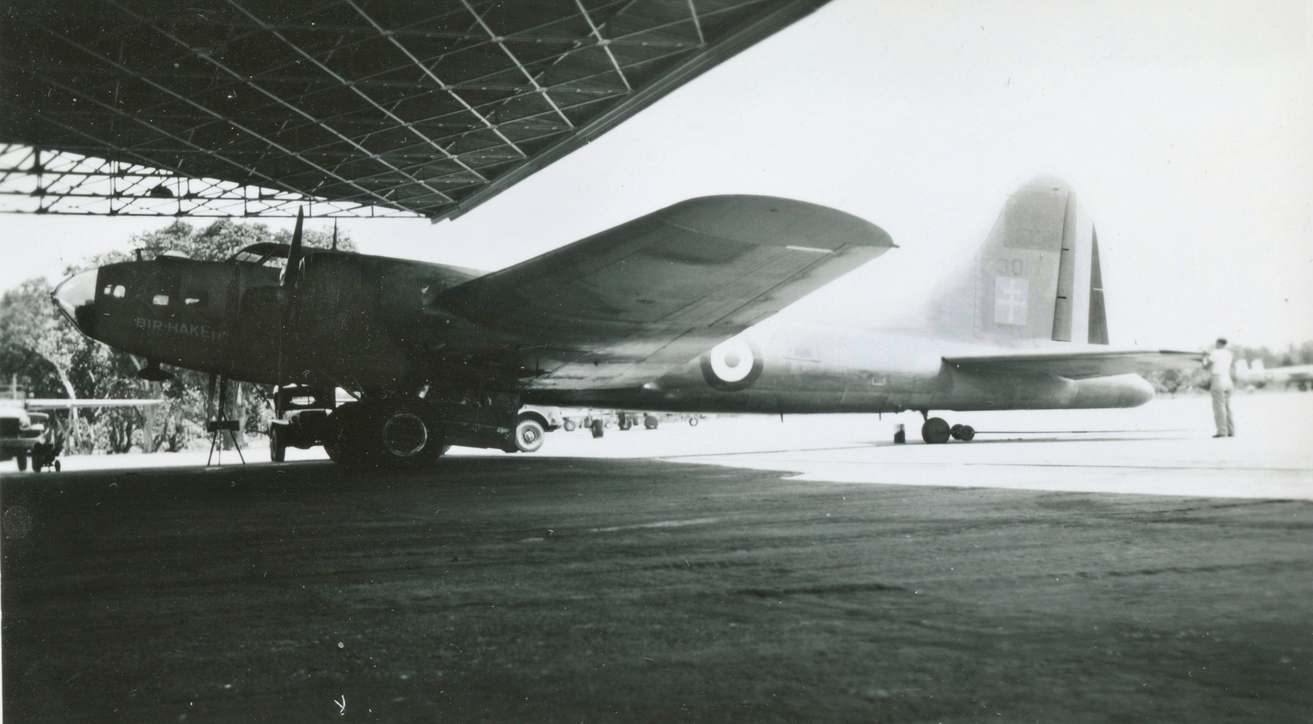 webp.net-resizeimage (3)