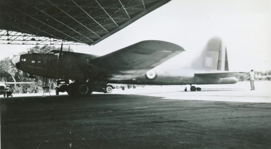 webp.net-resizeimage (3)