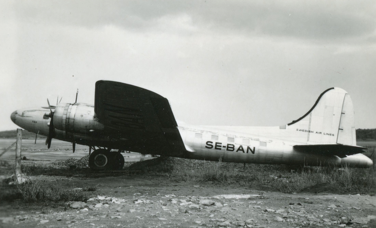 webp.net-resizeimage (4)