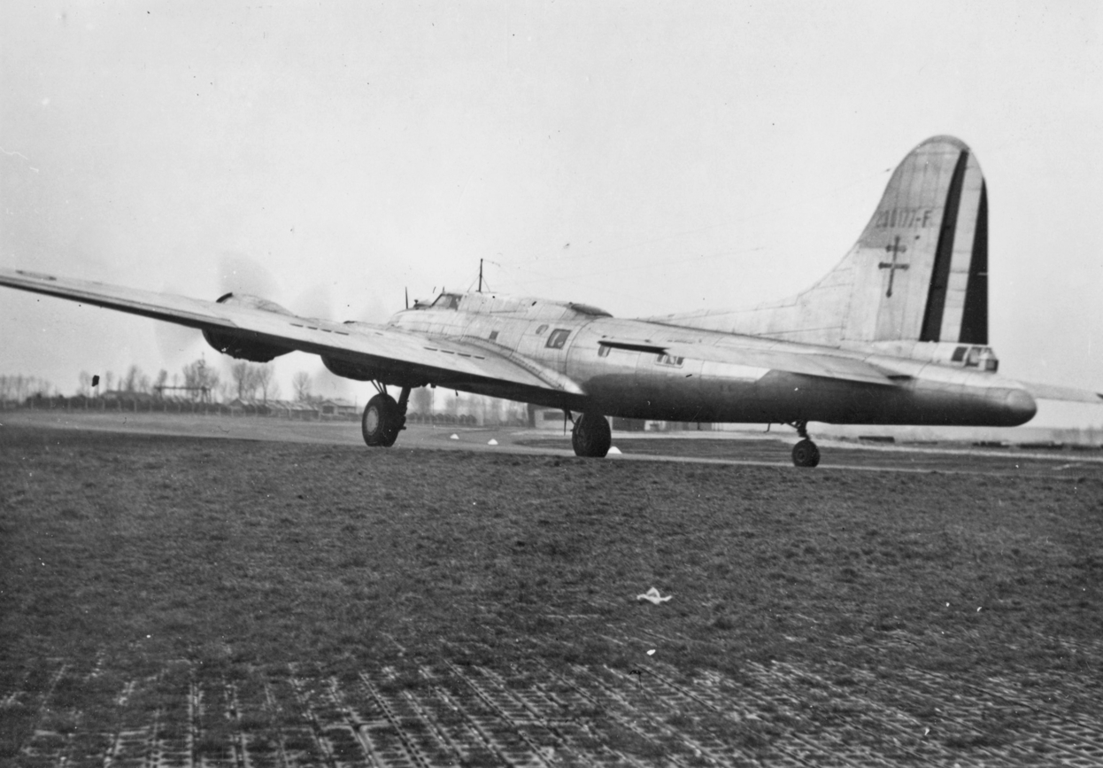 webp.net-resizeimage