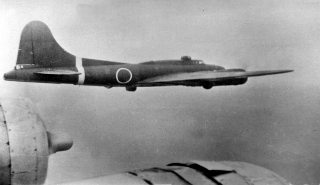 webp.net-resizeimage