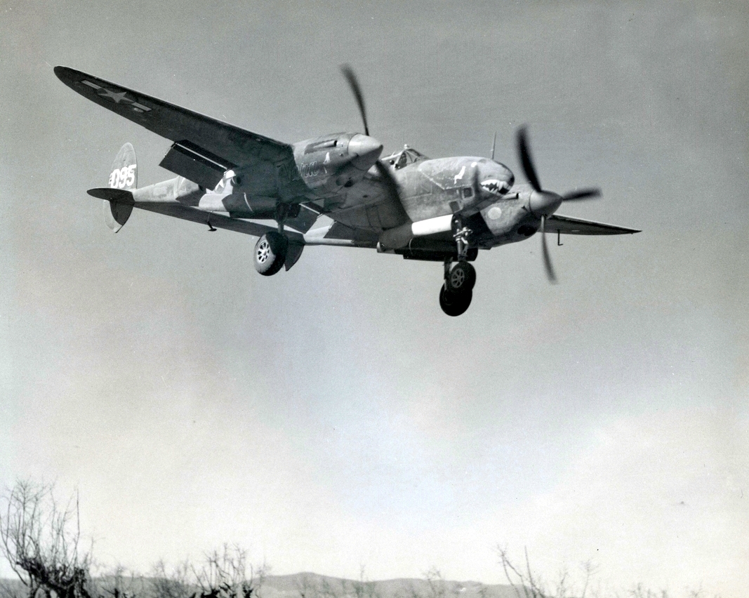 Webp.net-resizeimage (8)