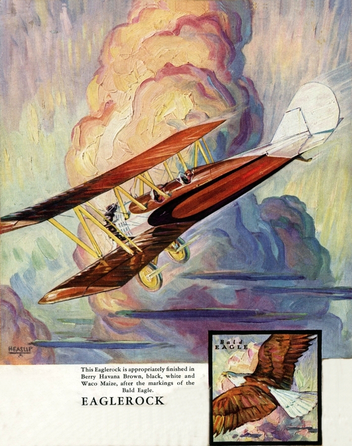 Webp.net-resizeimage (5)