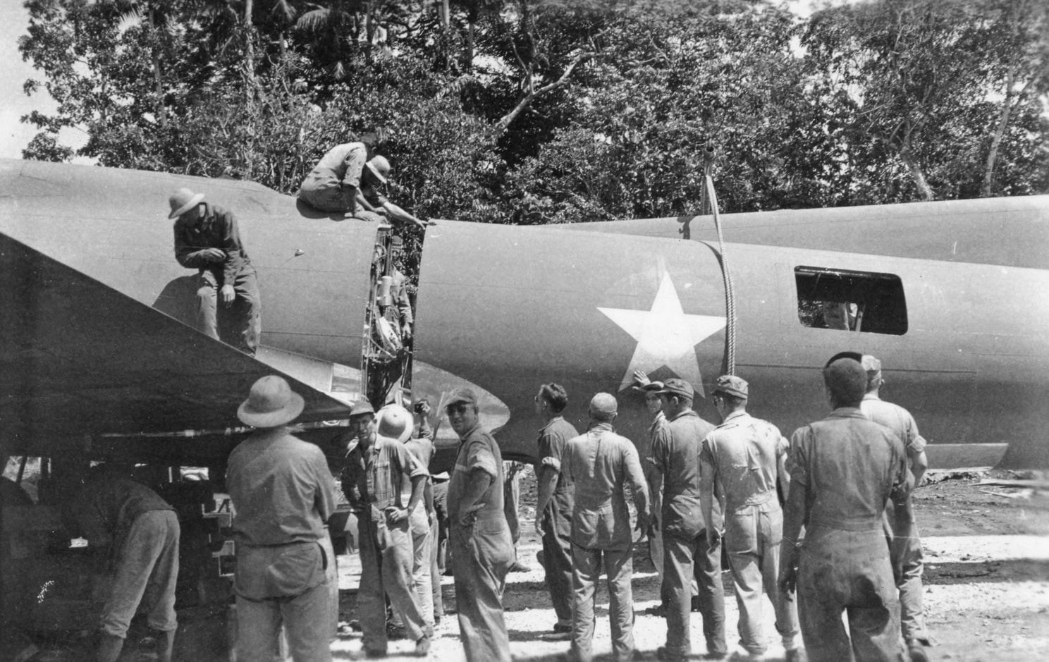 Webp.net-resizeimage (6)