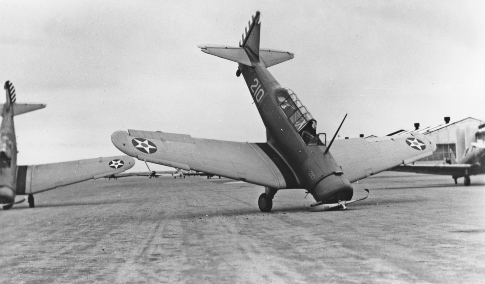 Webp.net-resizeimage (8)